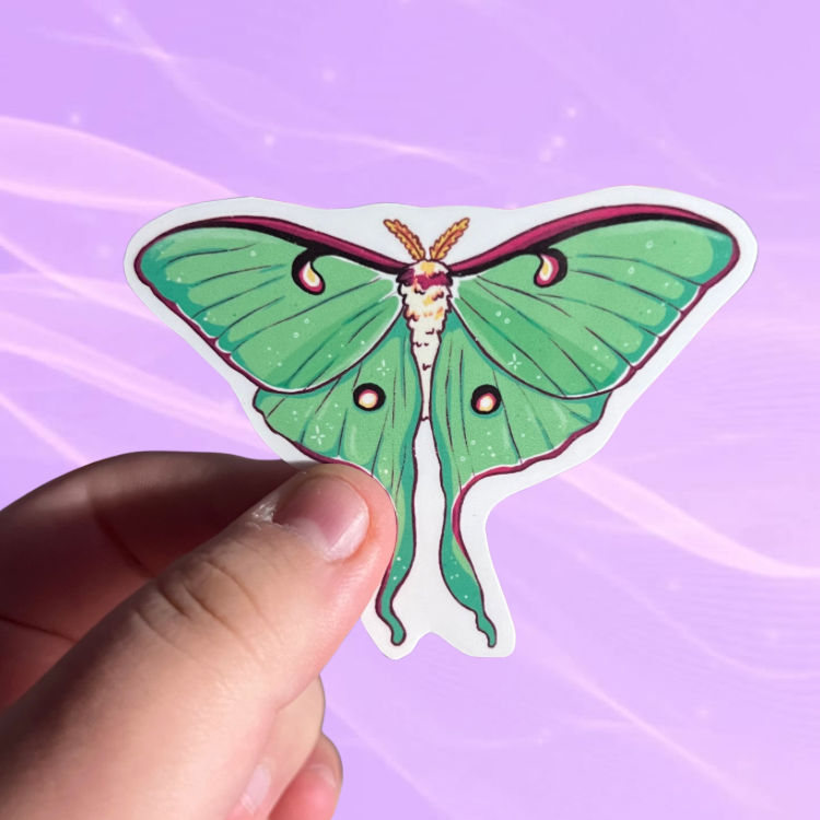 Luna Moth | Vinyl Sticker