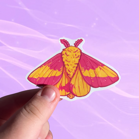 Rosy Maple Moth | Vinyl Sticker